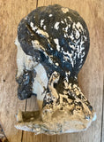 Early 20th Century Italian Hand-painted Papier-mache' Saint Head FREE SHIPPING